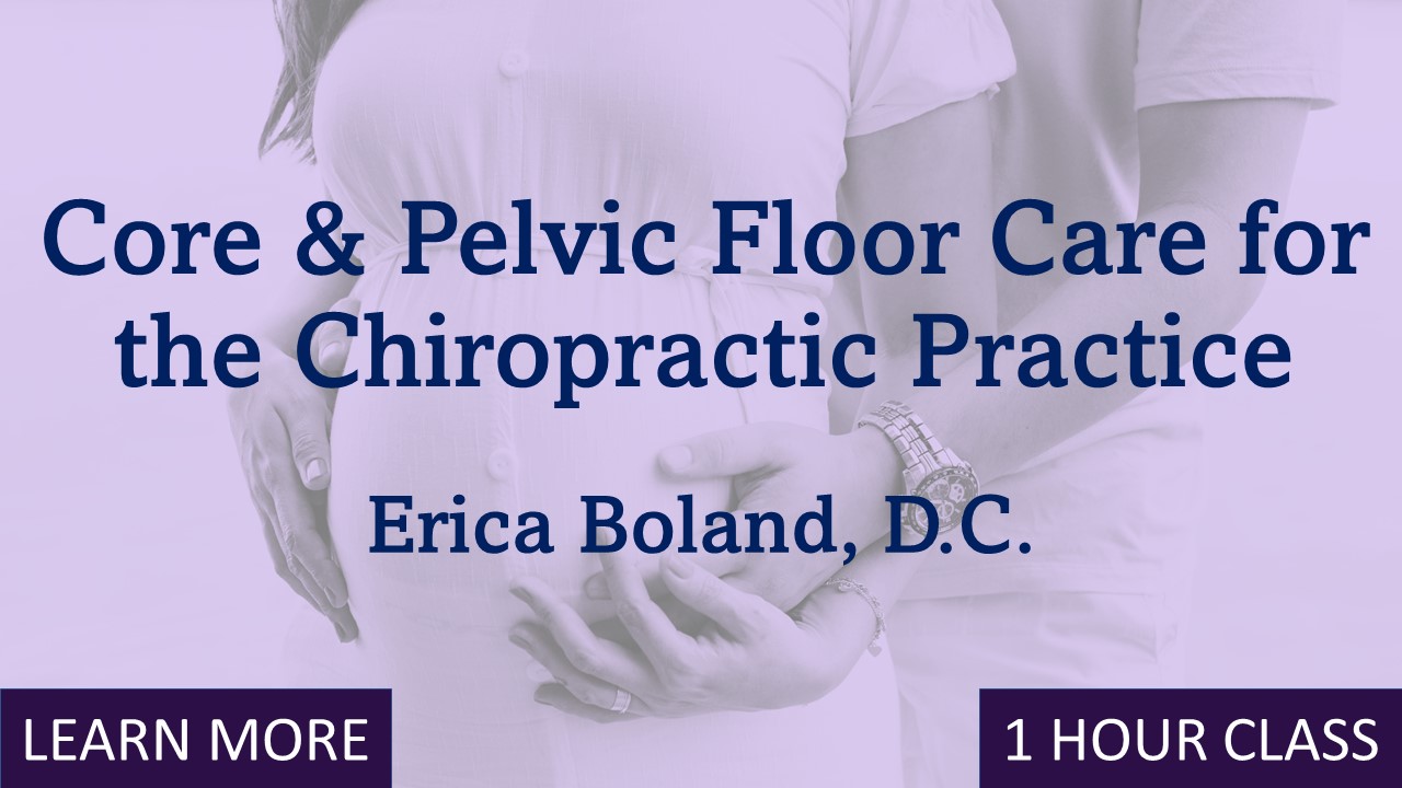 Core+Pelvic Floor Care for the Chiropractic Practice